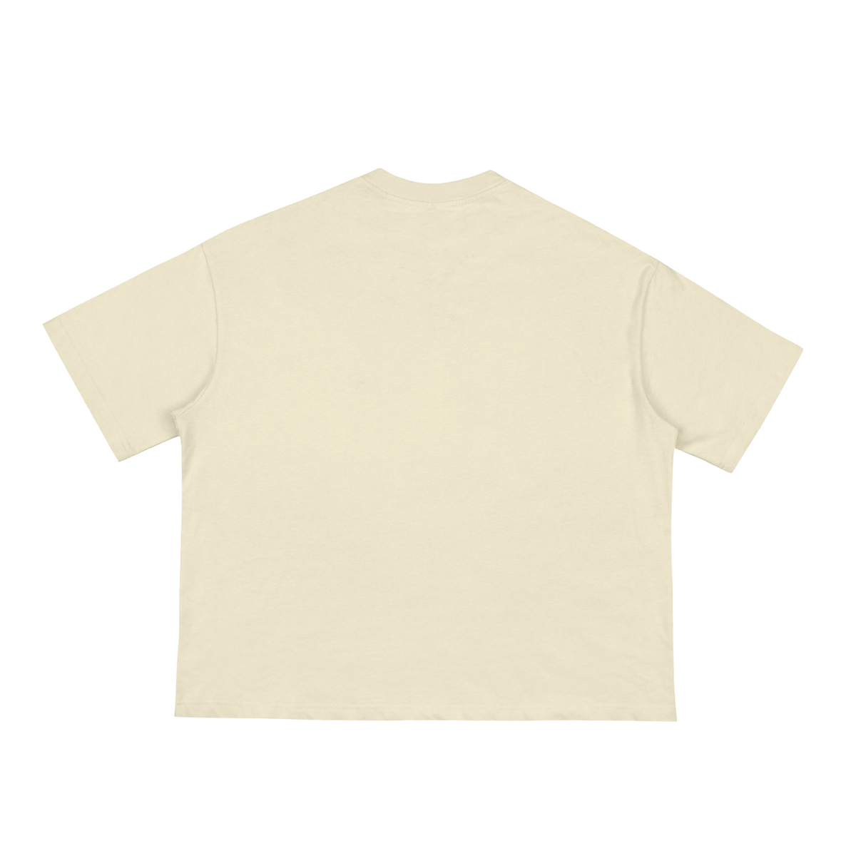 "Sorry I'm late, I didn't wanna come." Boxy Loose T-shirt Unisex 3 colors adults sizing Grey White Apricot